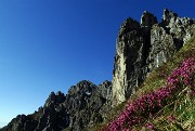 21 Erica con torrione d'Alben